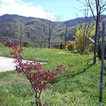 Petrin * Tolmin