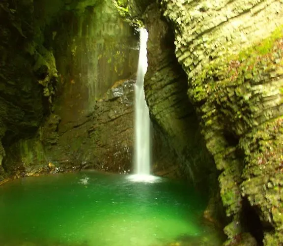 Petrin * トールミン