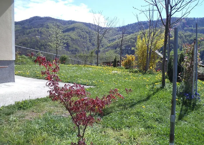 Petrin * トールミン