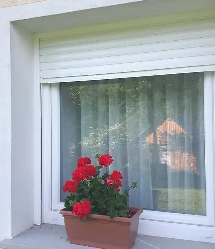 Petrin * トールミン